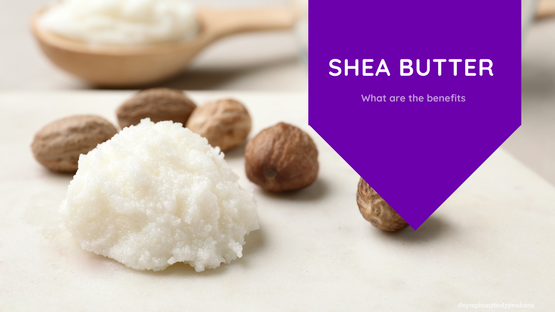 The ABC's Of Shea Butter – Symphony Body Products